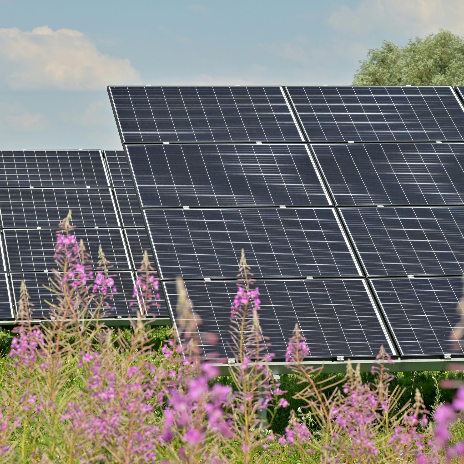 タイの太陽光発電設備にとってモジュールレベルの RSD が重要な理由 