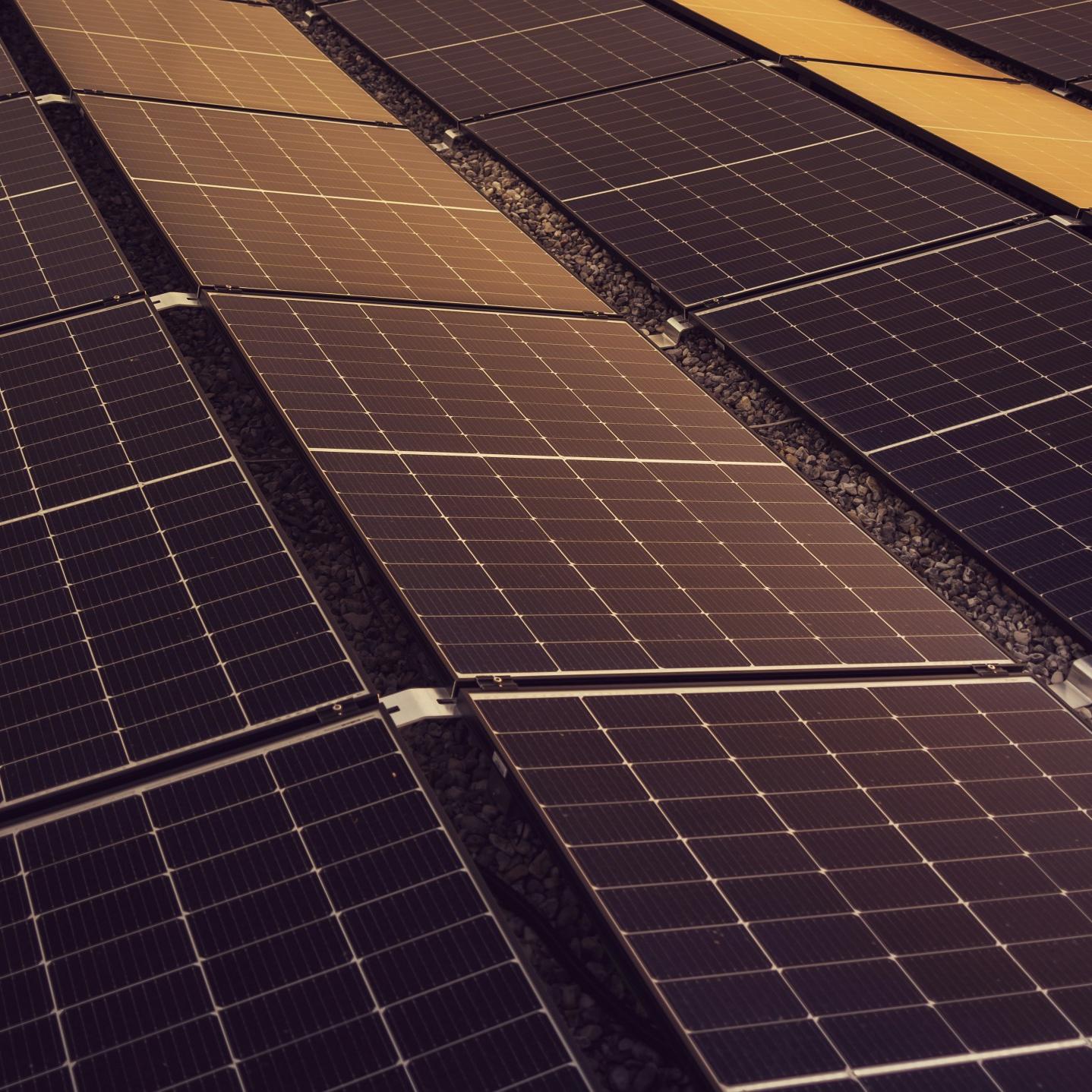 急速シャットダウン装置 vs 従来の安全スイッチどちらが良いか